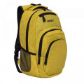 RQ-900-1 - рюкзак, grizzly, мужской, минск, фото